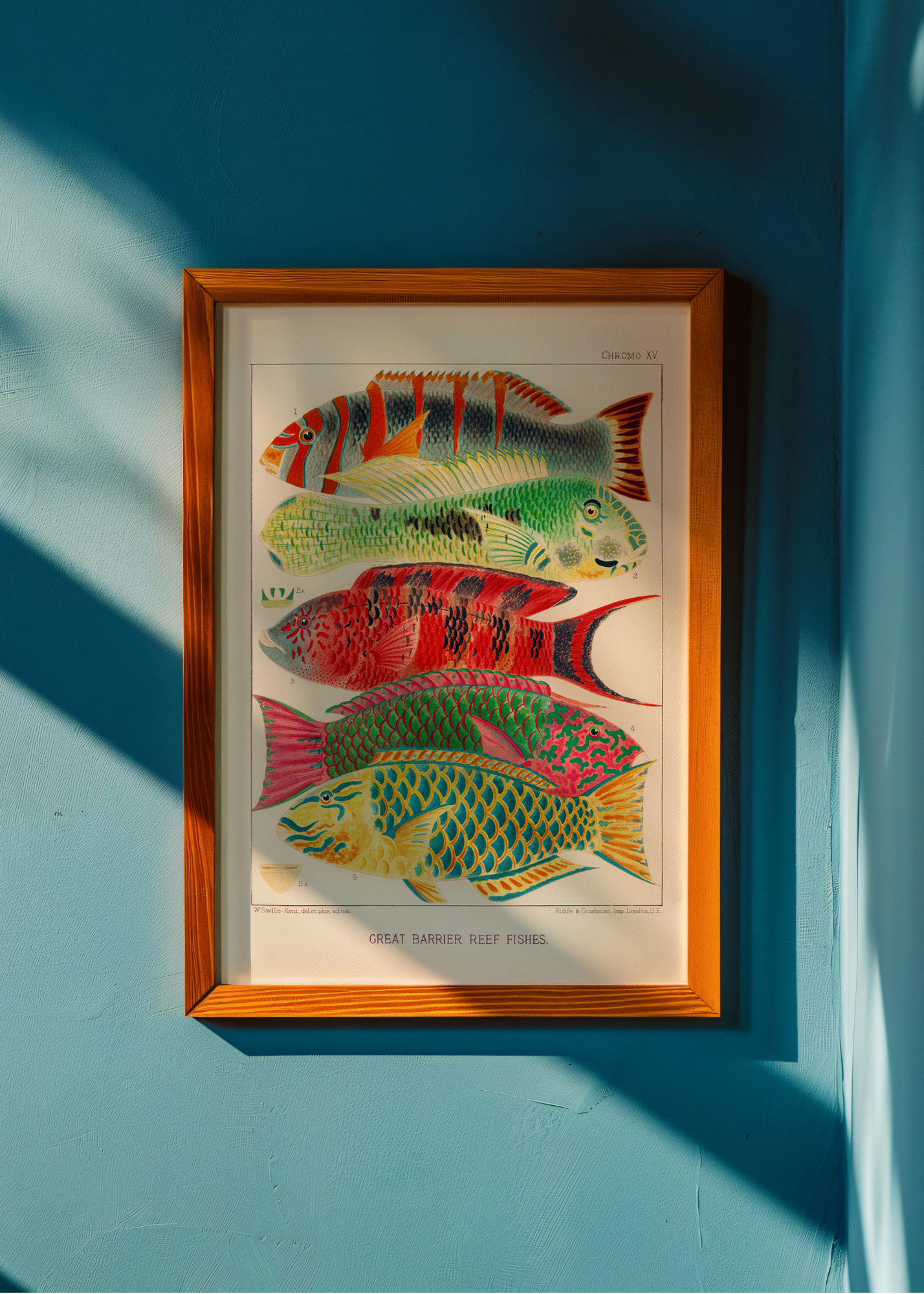 Fish of the Great Barrier Reef— Digital Art Print