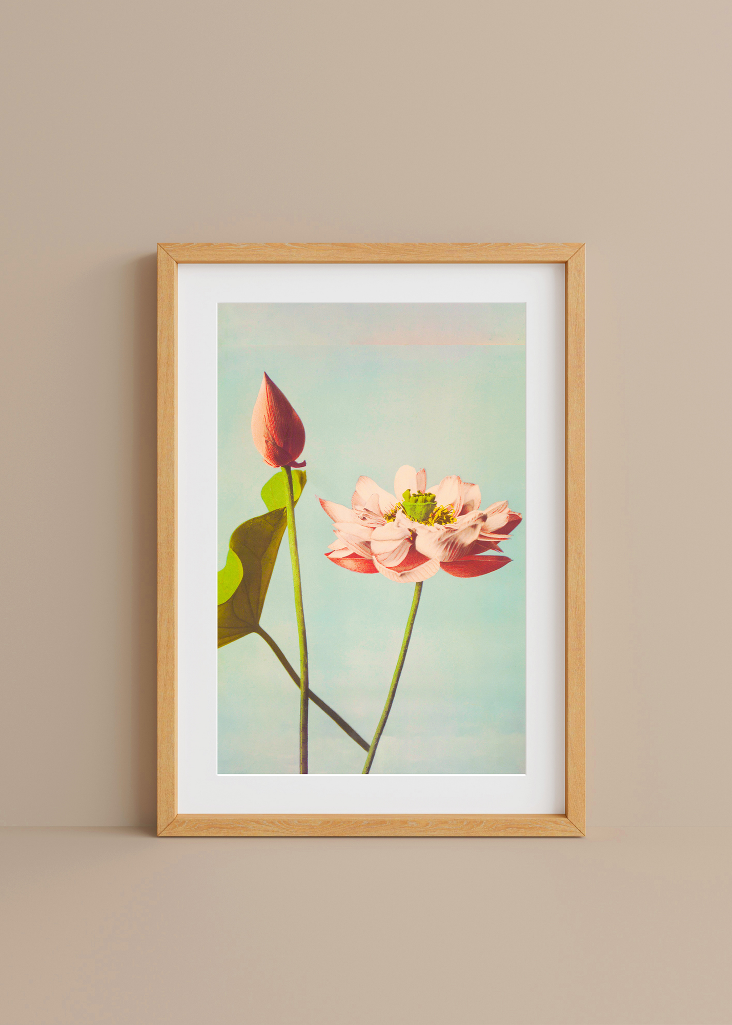 Pink Lotus Flowers— Digital Art Print