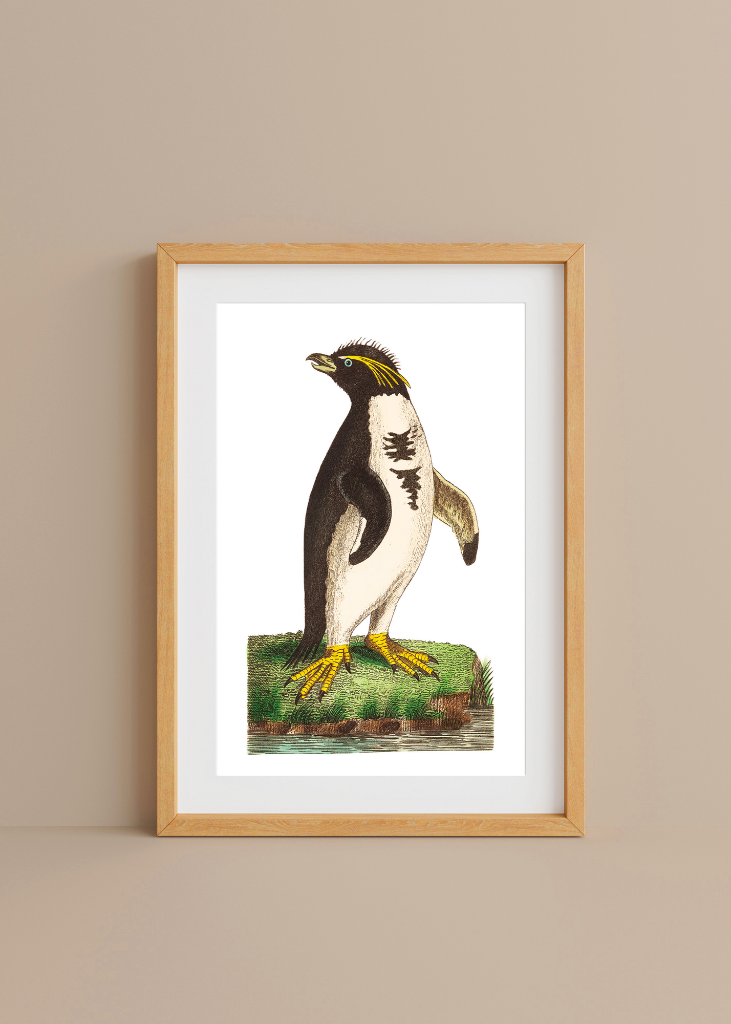 Crested Penguin— Digital Art Print