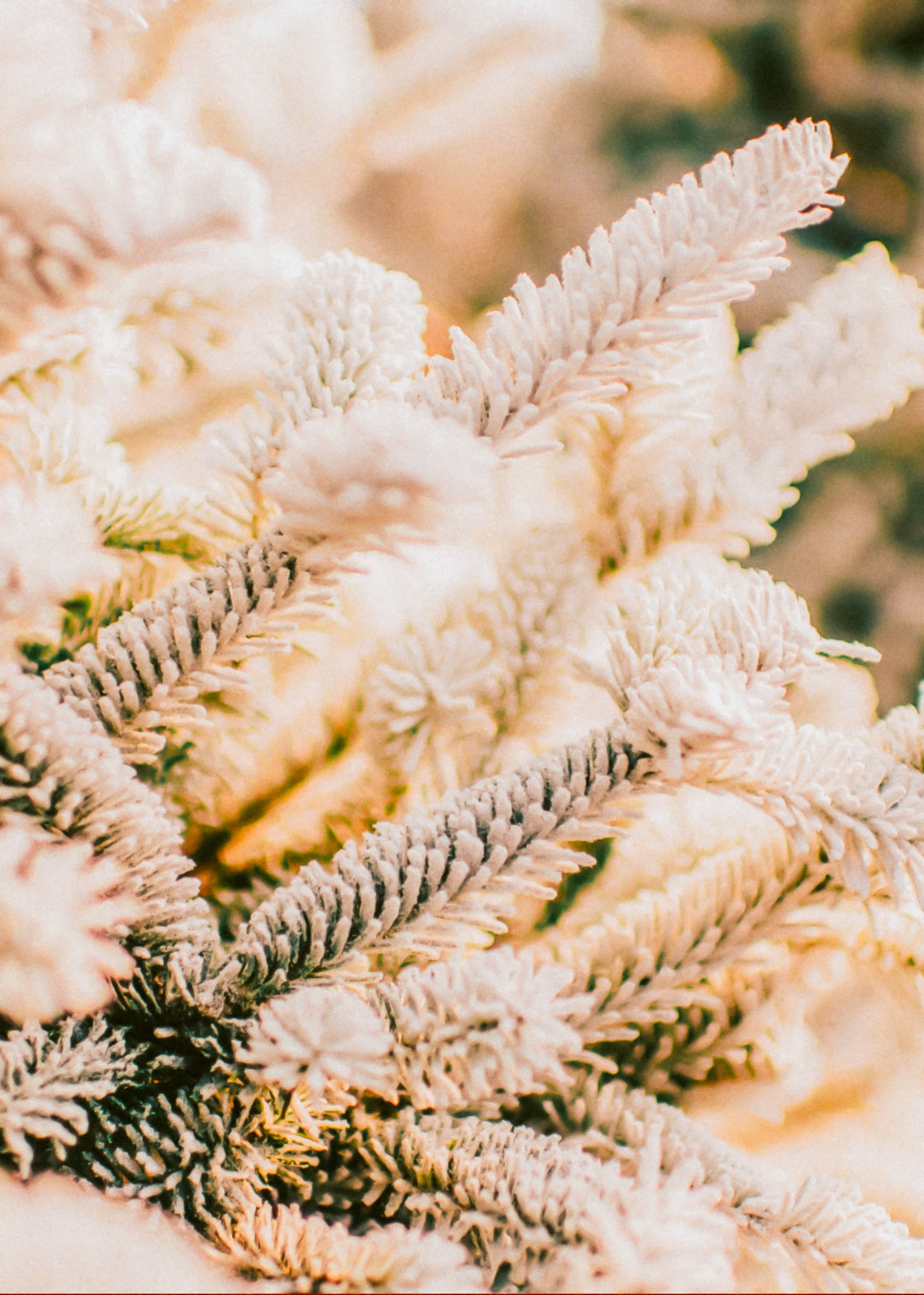 White Evergreen— Wax Melt