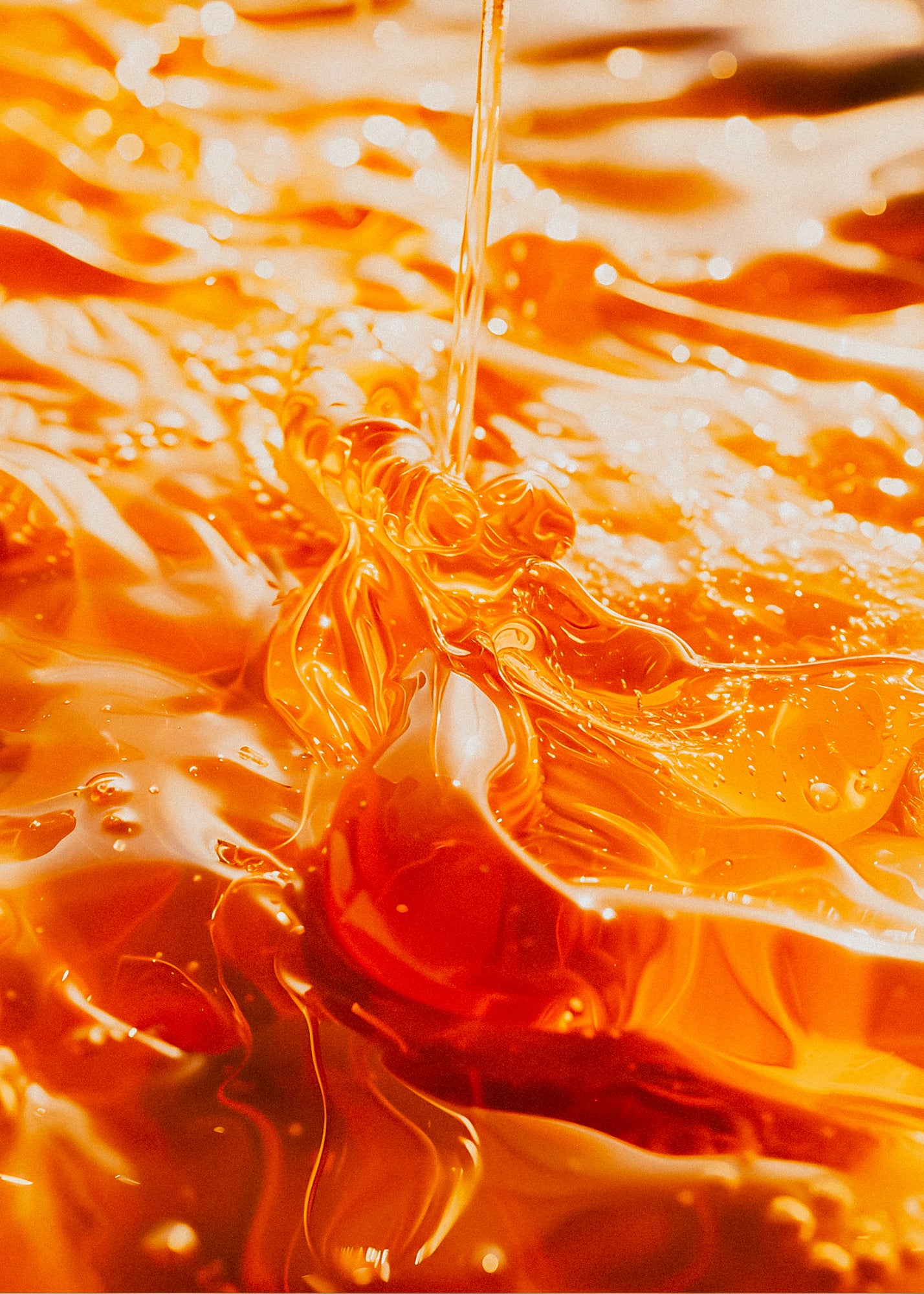 Spiced Honey + Tonka Bean— Wax Melt
