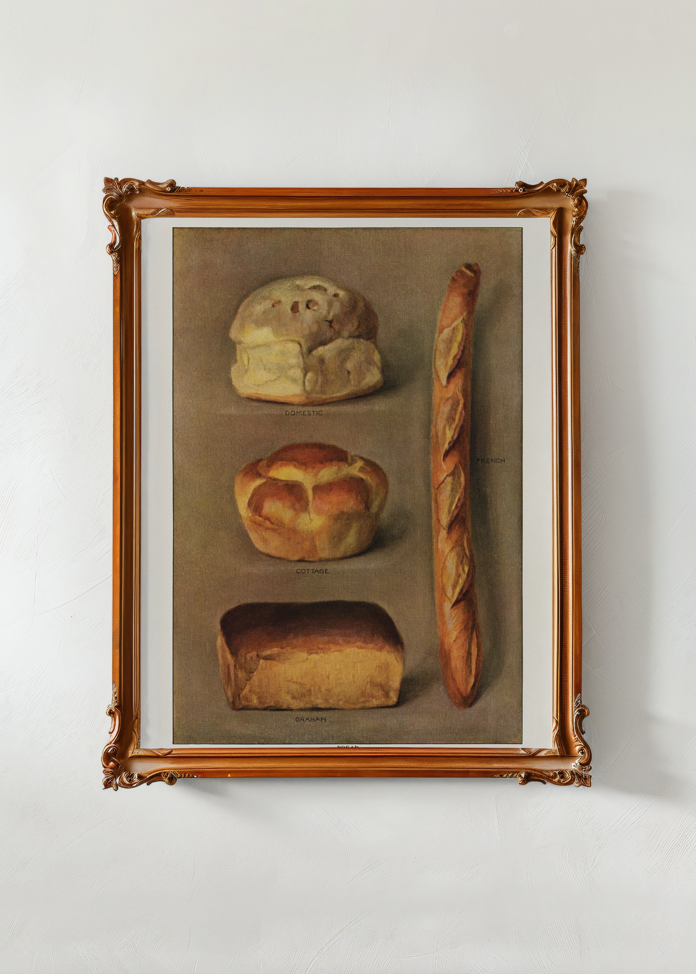 The Grocer's Encyclopedia, Assorted Breads— Digital Art Print