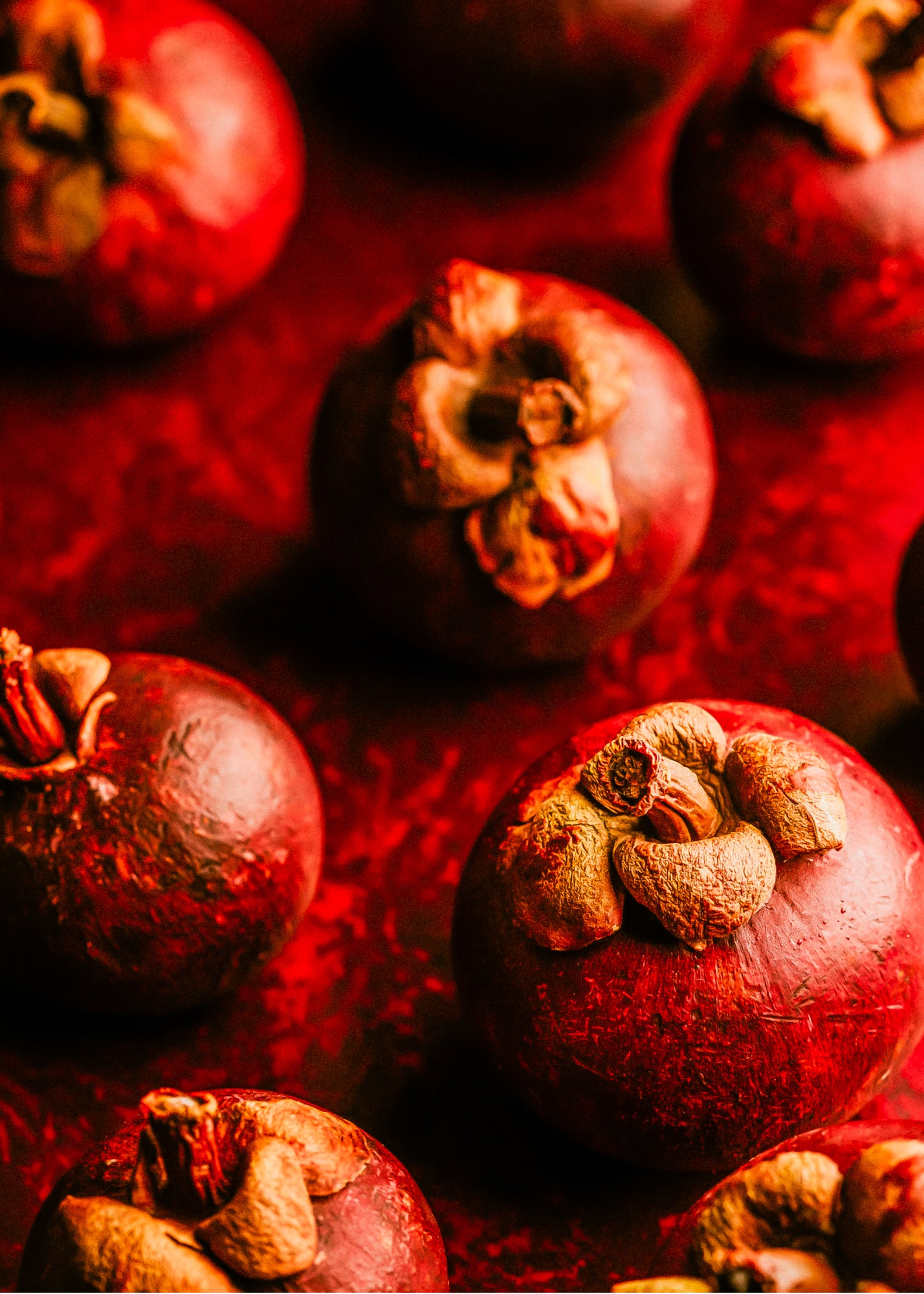 Ripe Grapefruit + Mangosteen— Wax Melt