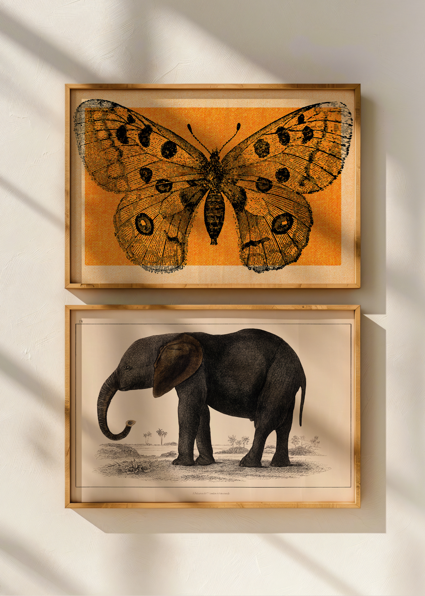 Elephant— Digital Art Print