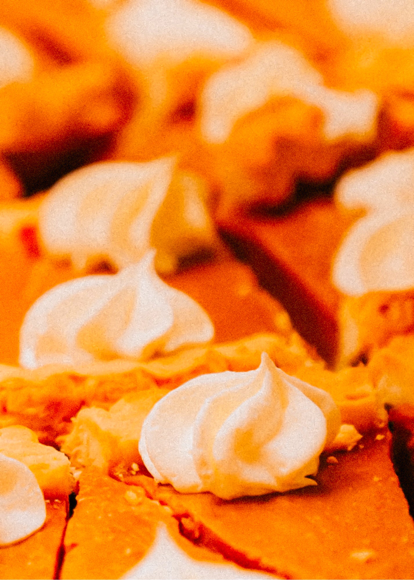 Pumpkin Pie— Wax Melt