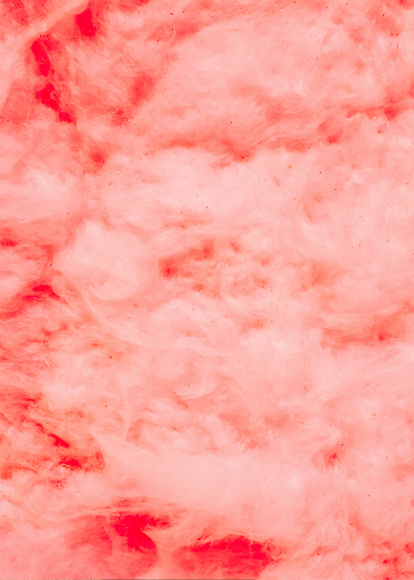 Cotton Candy Sugar— Wax Melt