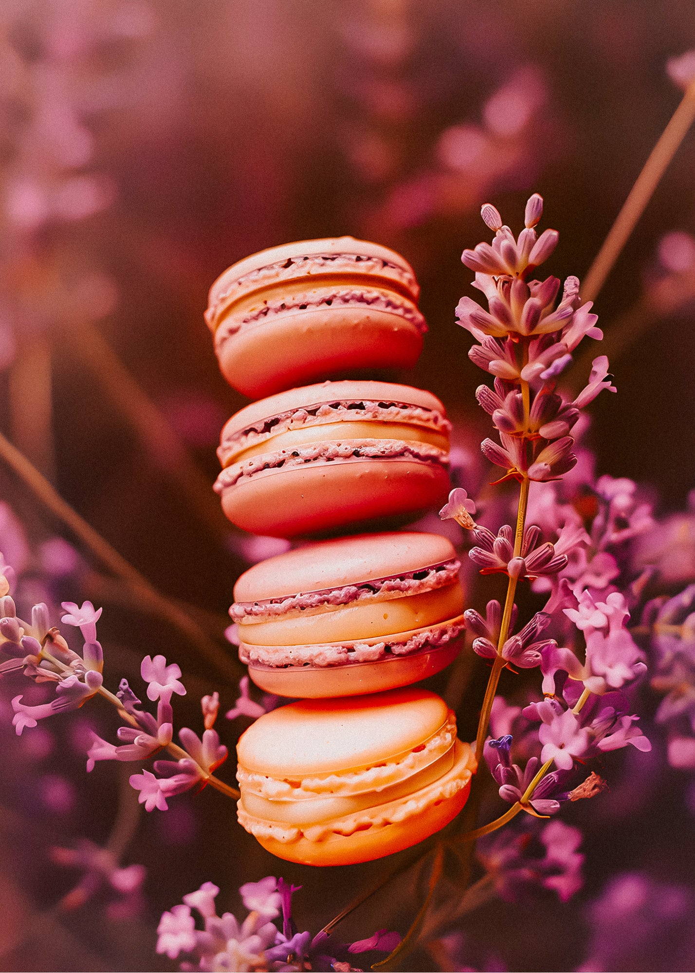 French Lavender Macaron— Wax Melt