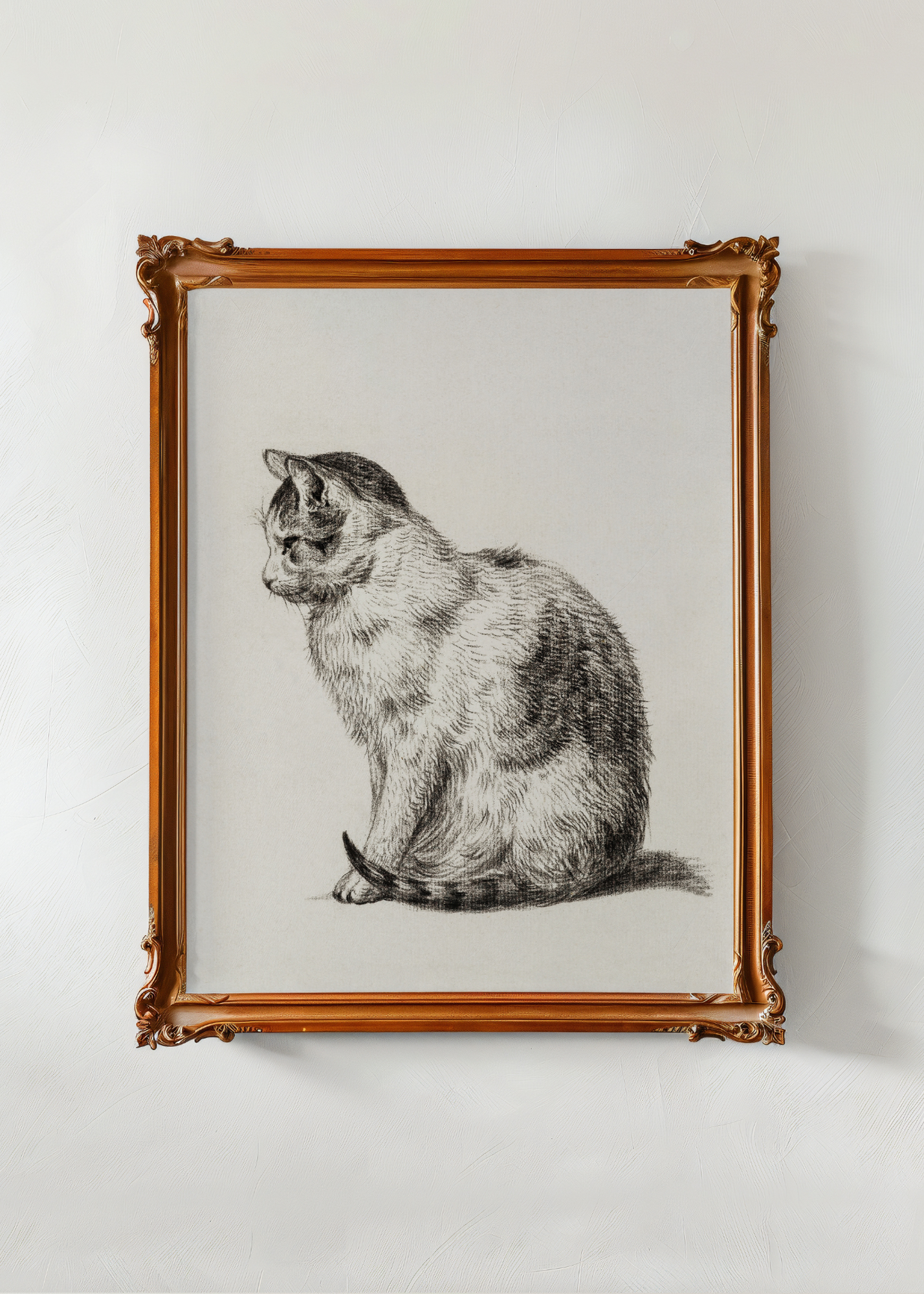 Sitting Cat— Digital Art Print