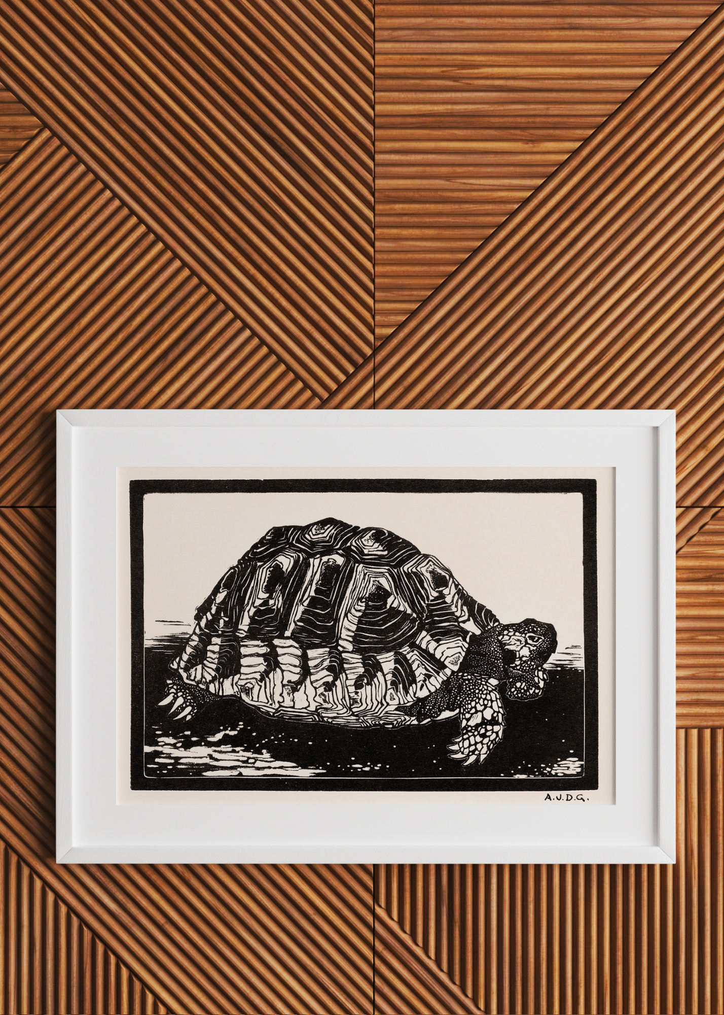 Turtle— Digital Art Print
