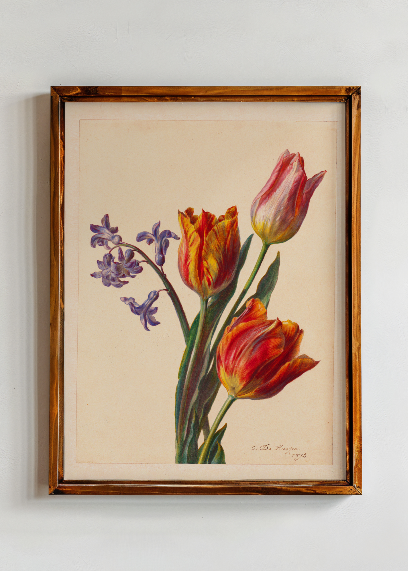 Three Tulips and a Sprig of Hyacinth— Digital Art Print