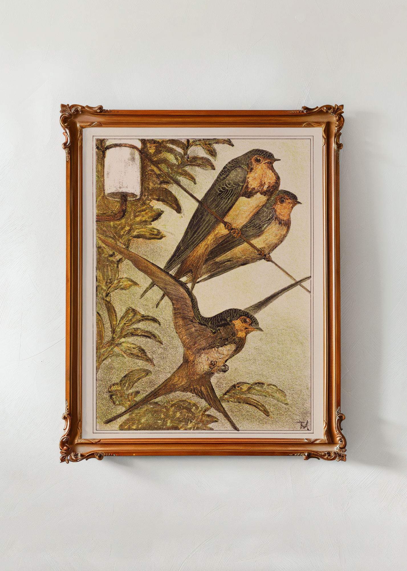Three Swallows— Digital Art Print