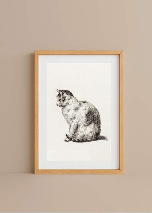 Sitting Cat— Digital Art Print