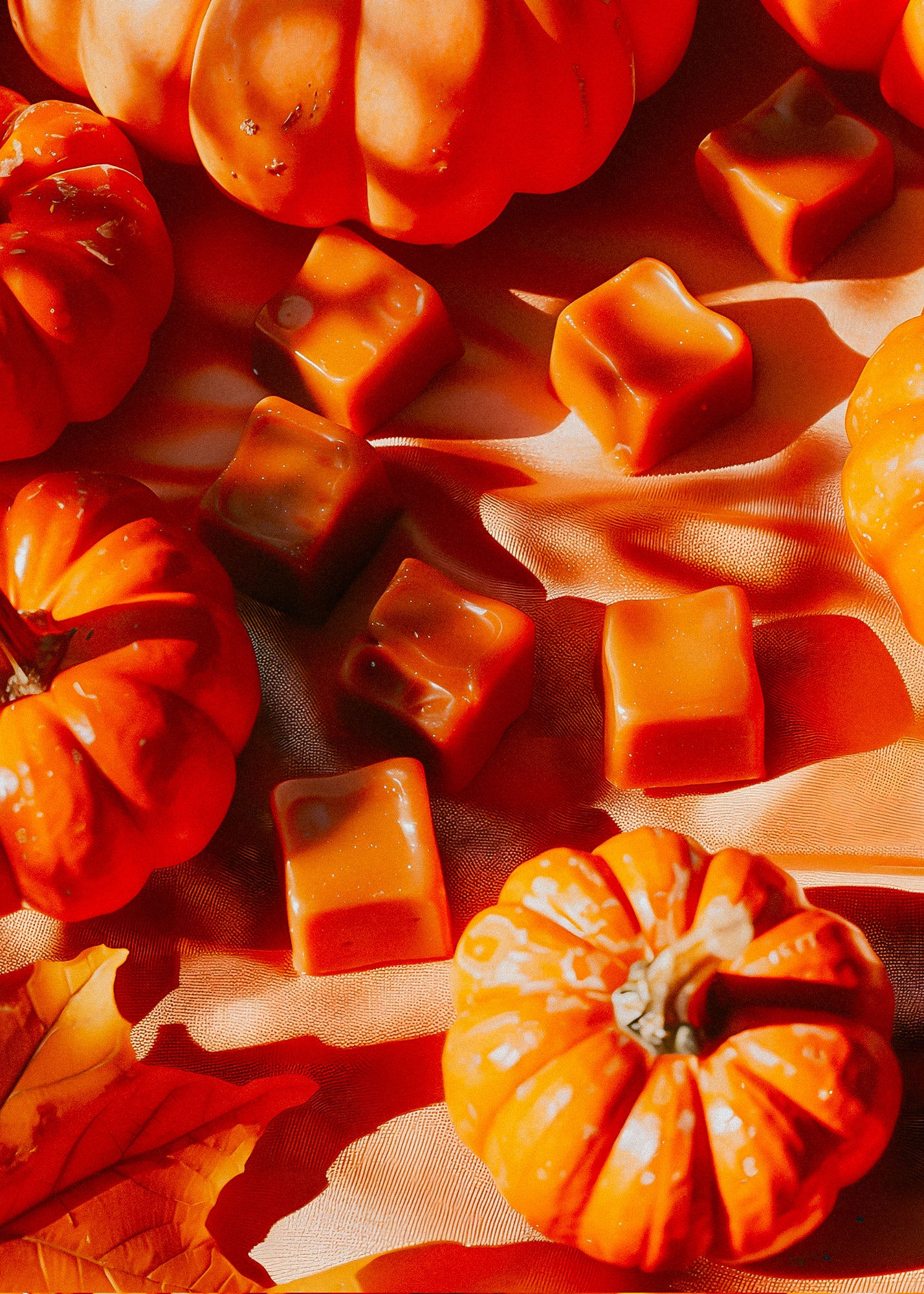 Spiced Pumpkin + Caramel Swirl— Wax Melt