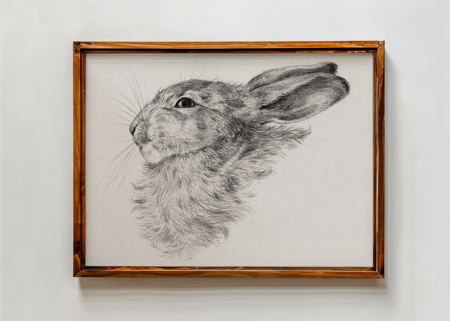 Rabbit's Head— Digital Art Print