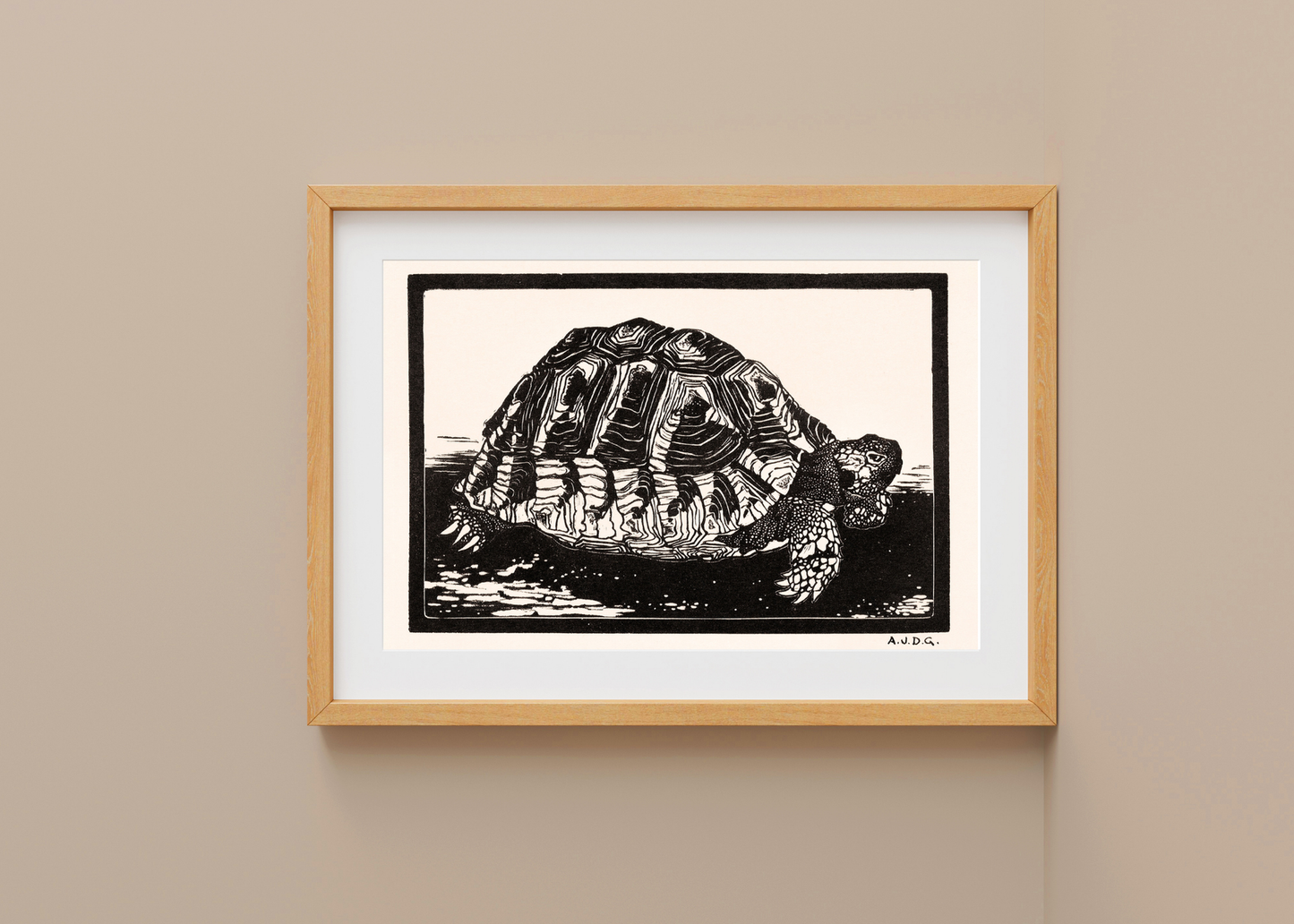 Turtle— Digital Art Print