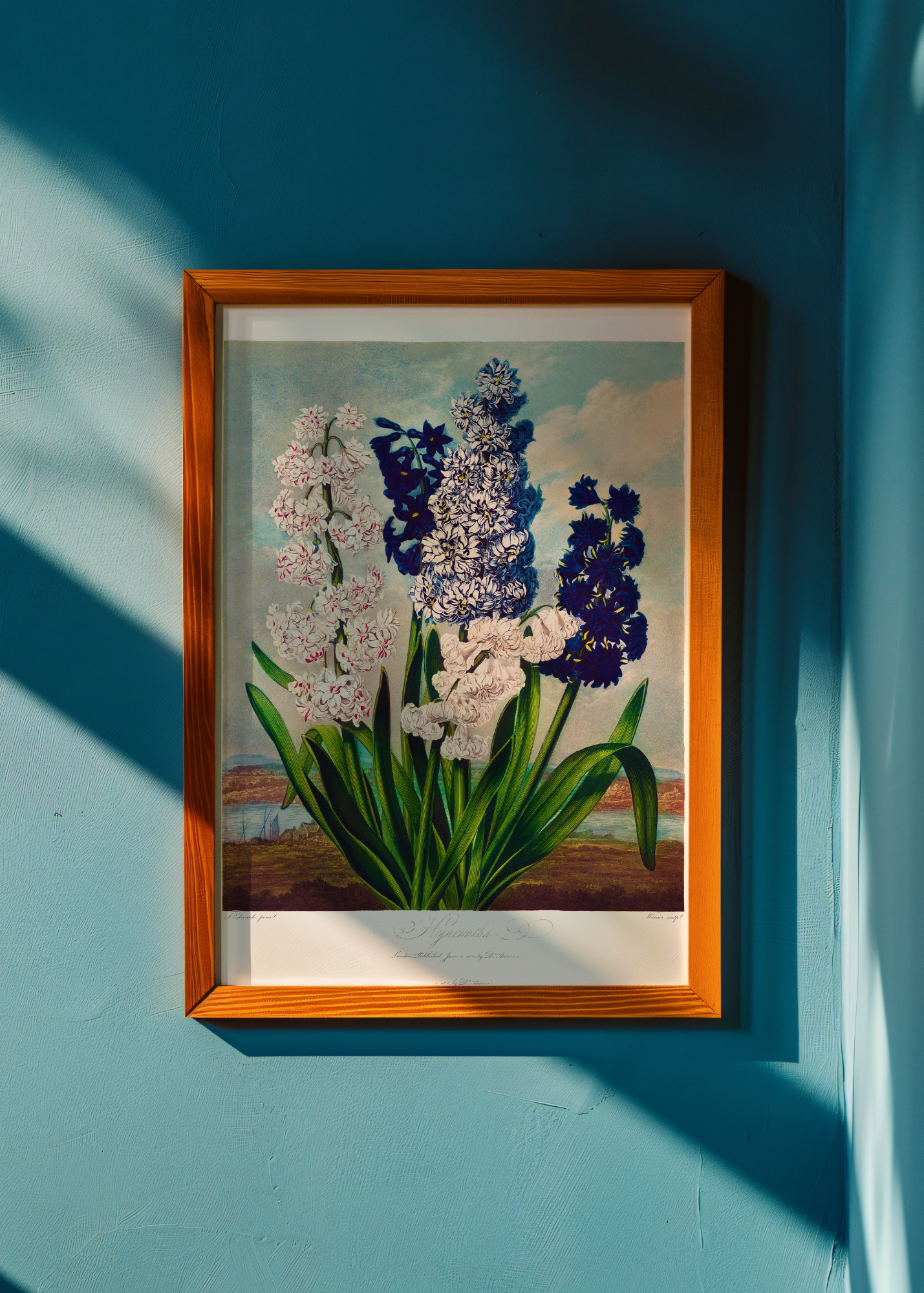 Hyacinths — Digital Art Print