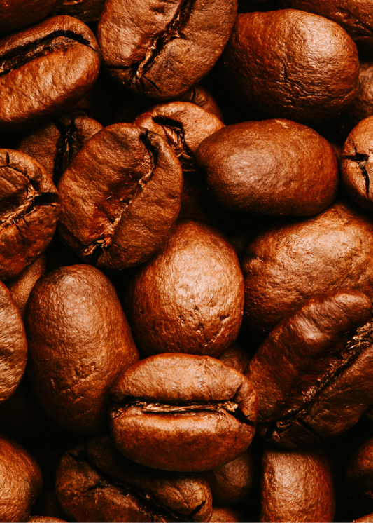 Coffee Bean— Wax Melt