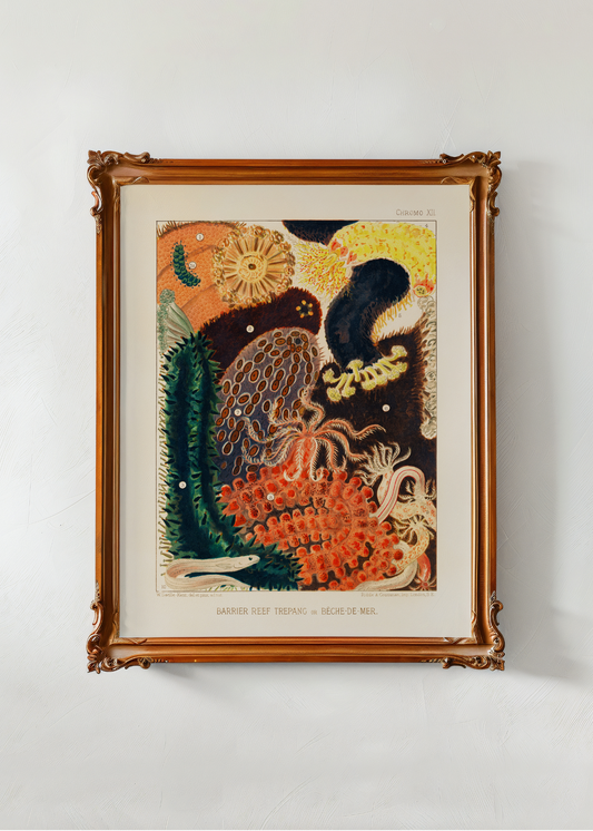 Great Barrier Reef— Digital Art Print