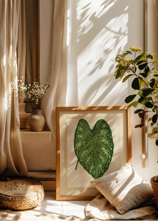 Caladium Mirabile— Digital Art Print
