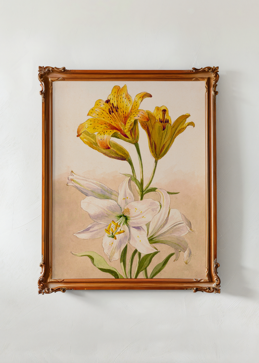 Yellow and White Lilies— Digital Art Print