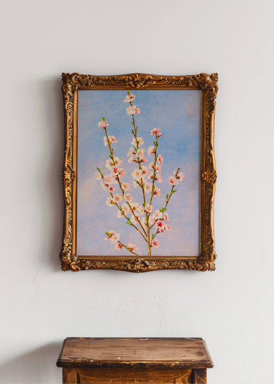 Peach Blossoms— Digital Art Print