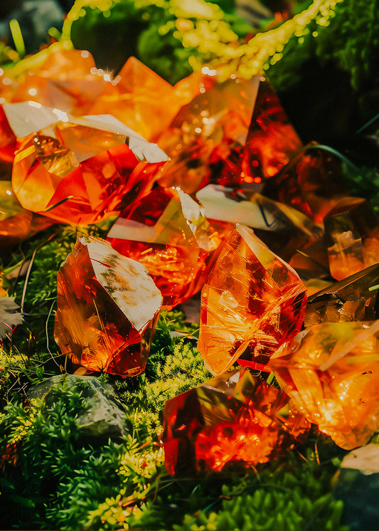 Dark Amber + Oakmoss— Wax Melt