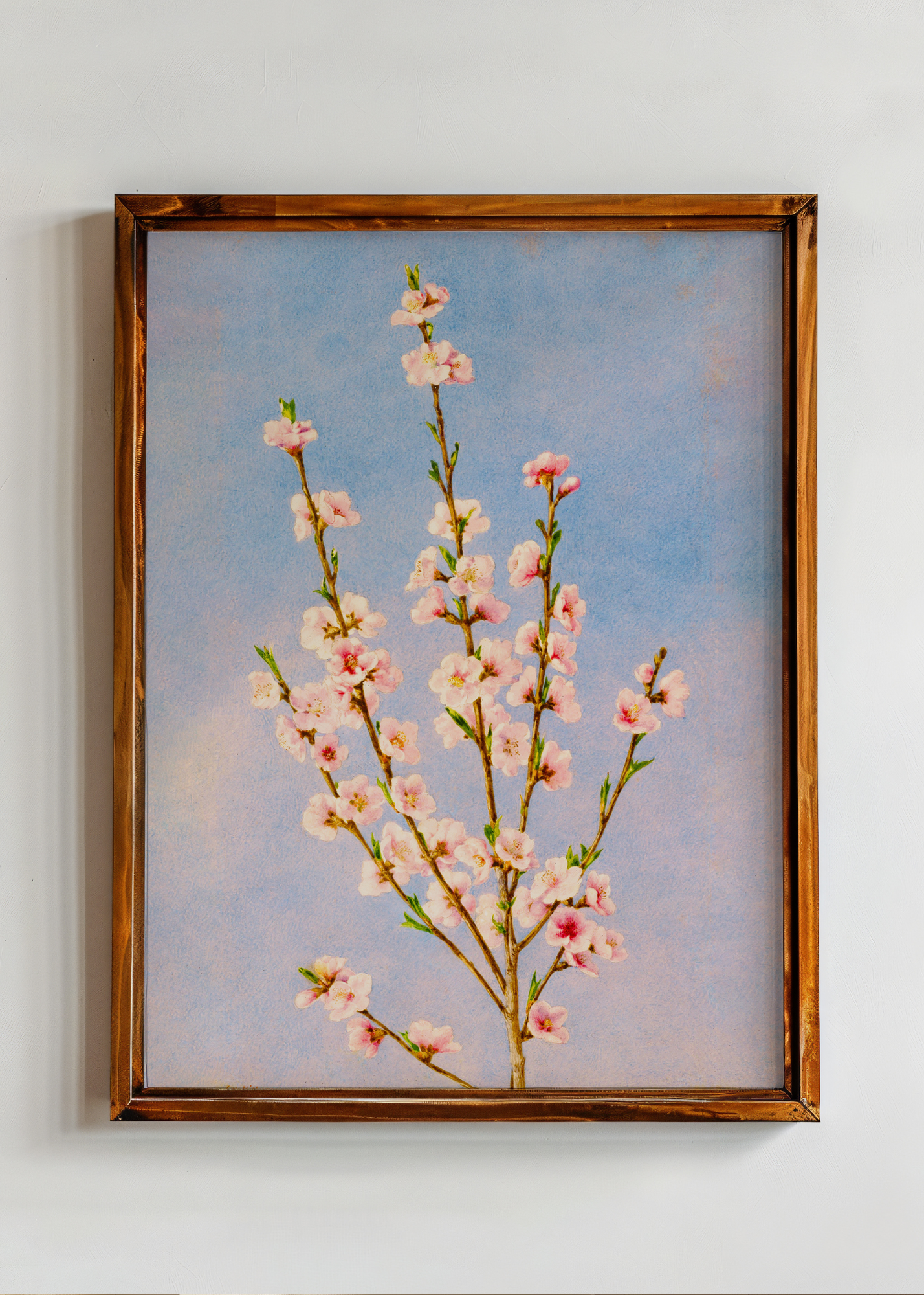 Peach Blossoms— Digital Art Print