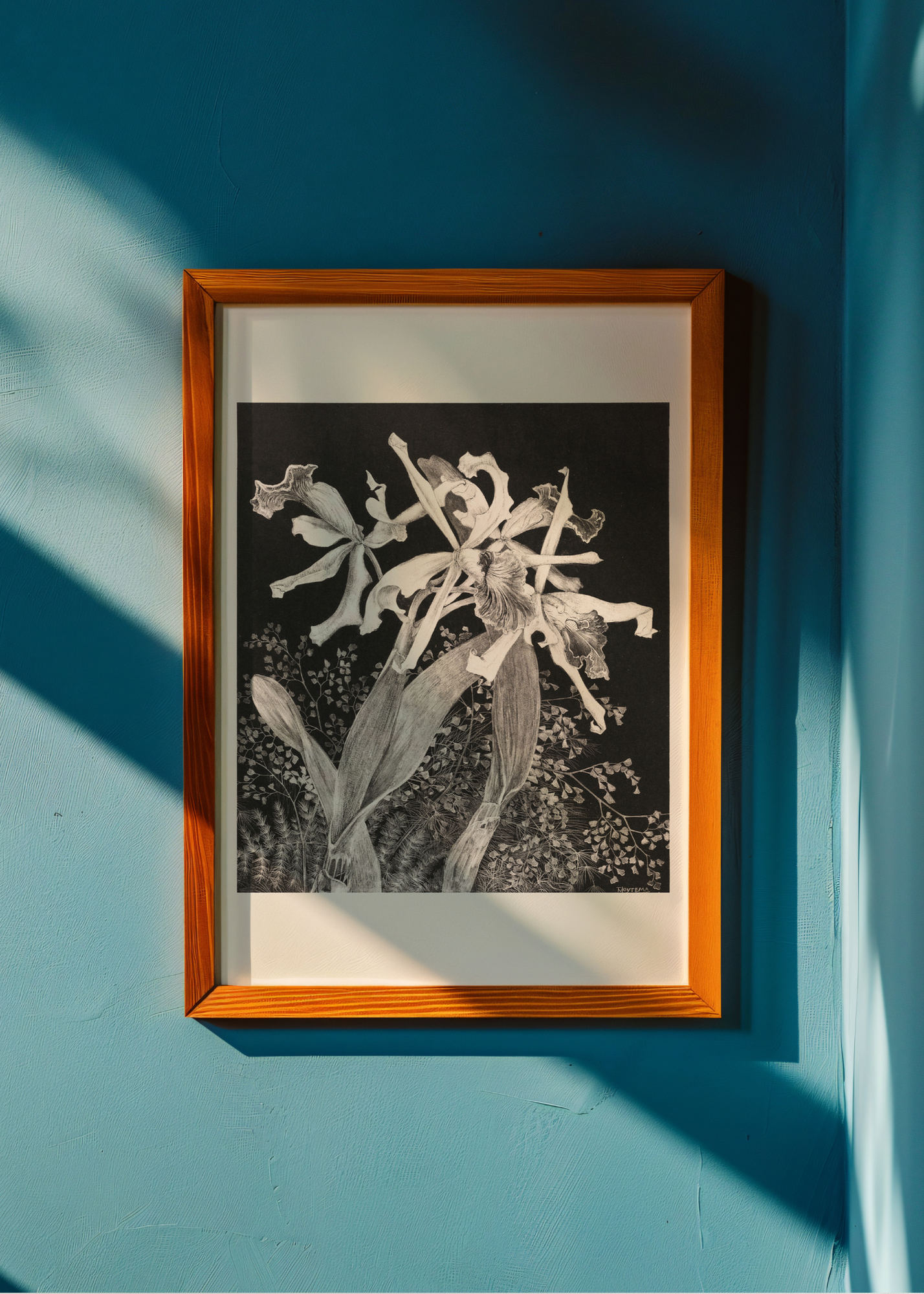 Orchids— Digital Art Print