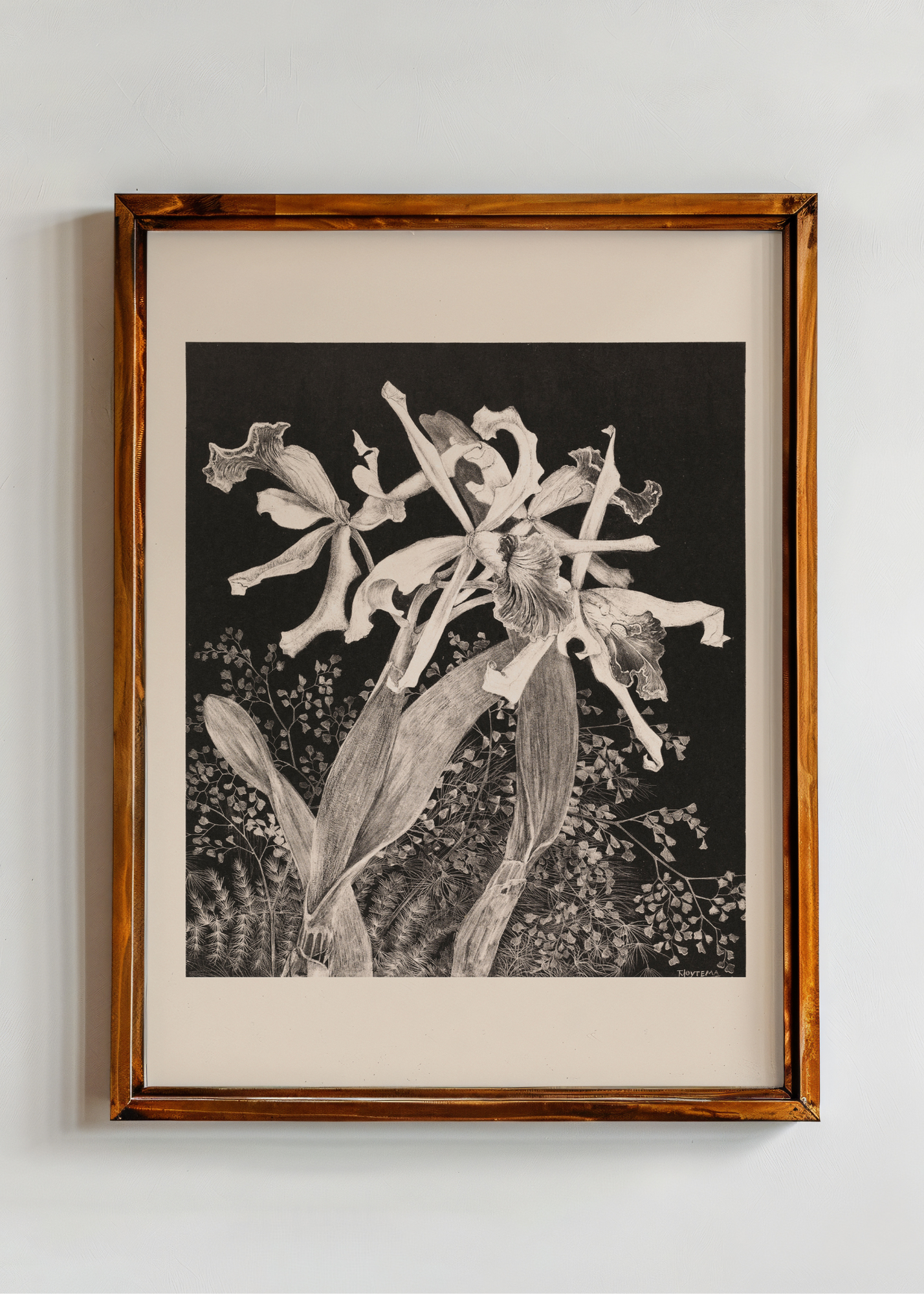 Orchids— Digital Art Print