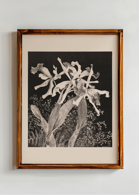 Orchids— Digital Art Print