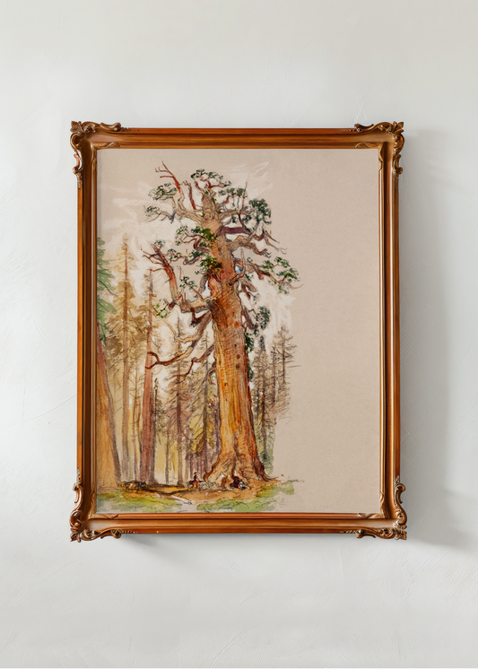 Oak and Evergreen— Digital Art Print