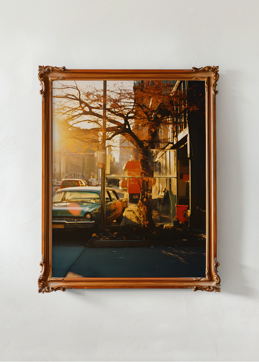 Framed photograph of a city street scene with cars and a tree, on a white wall.