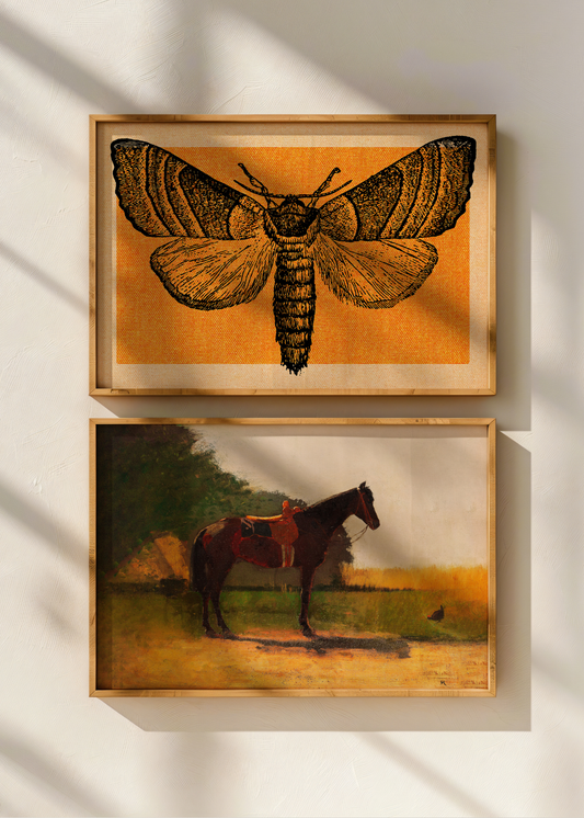Orange Moth— Digital Art Print
