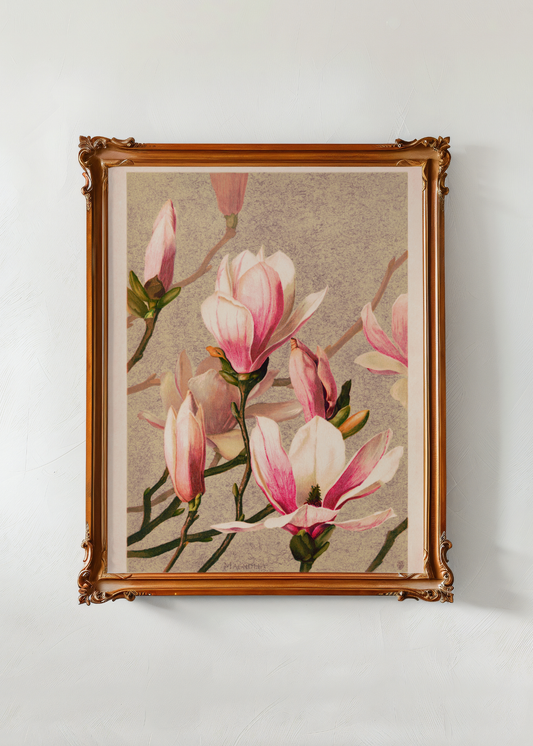 Magnolia— Digital Art Print