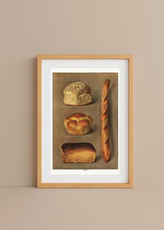 The Grocer's Encyclopedia, Assorted Breads— Digital Art Print
