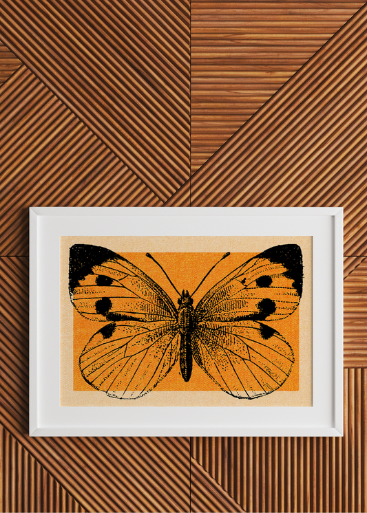 Paper Wings and Golden Light— Digital Art Print