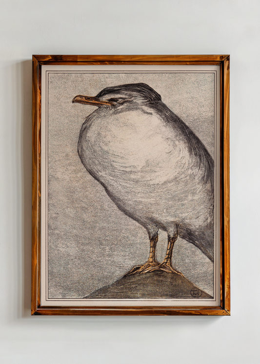 Herring Gull— Digital Art Print
