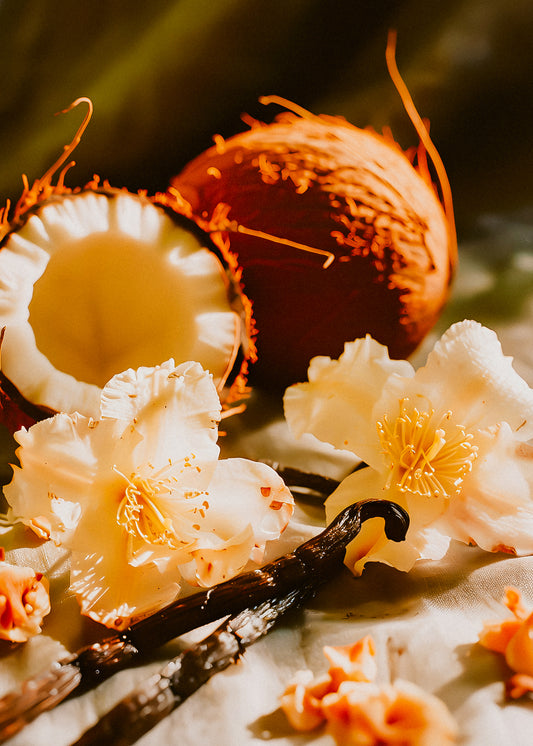 Toasted Coconut + Vanilla Tonka— Wax Melt