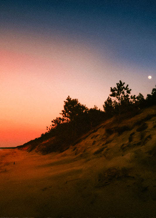 Summer By The Sea— Wax Melt