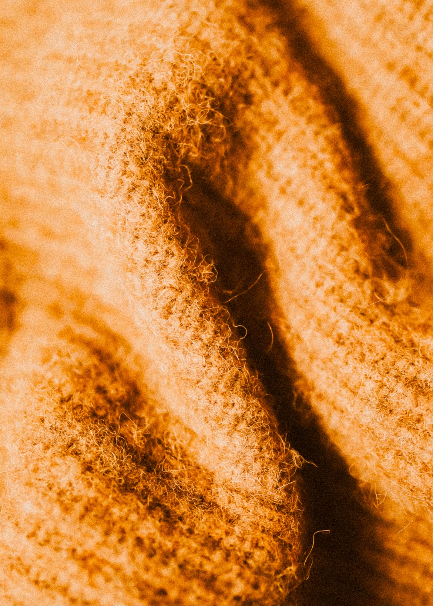 Cozy Cashmere + Cocoa Butter— Wax Melt