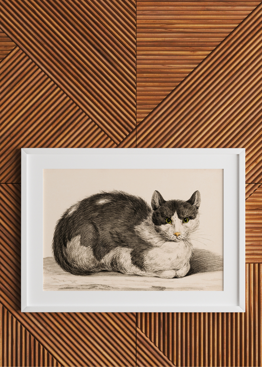 Reclining Cat— Digital Art Print