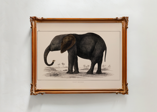Elephant— Digital Art Print