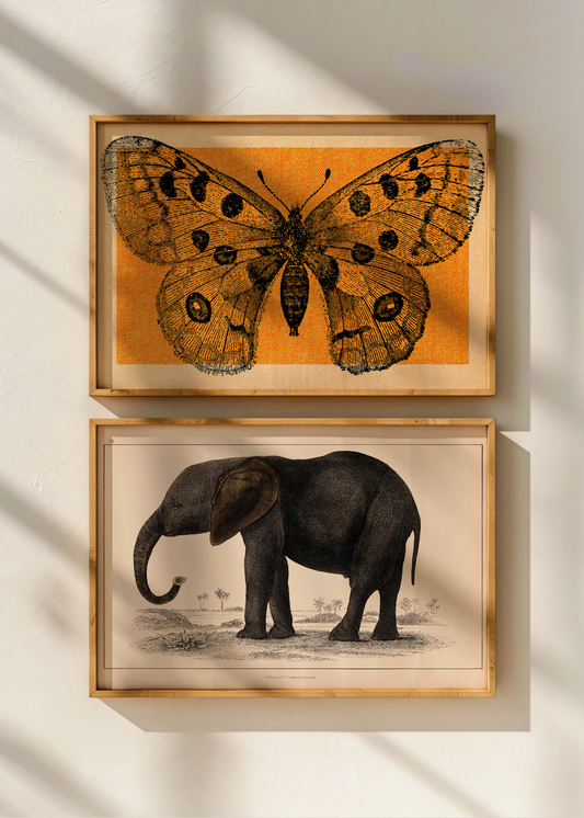 Elephant— Digital Art Print