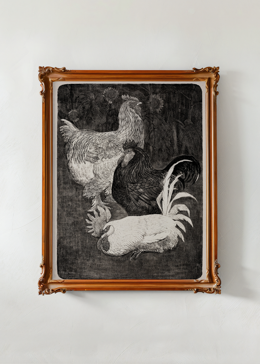 Three Roosters— Digital Art Print