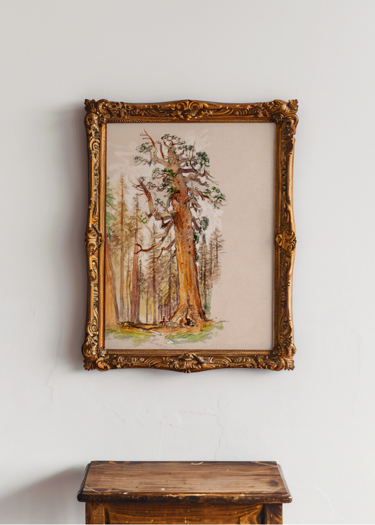 Oak and Evergreen— Digital Art Print