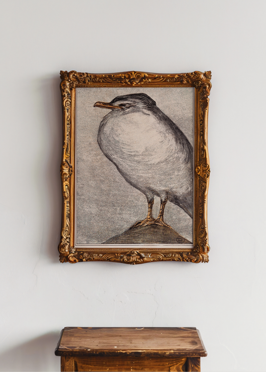 Herring Gull— Digital Art Print