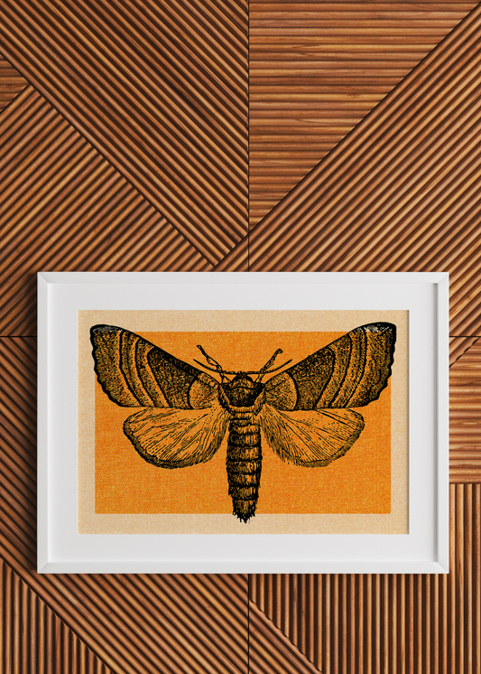 Orange Moth— Digital Art Print