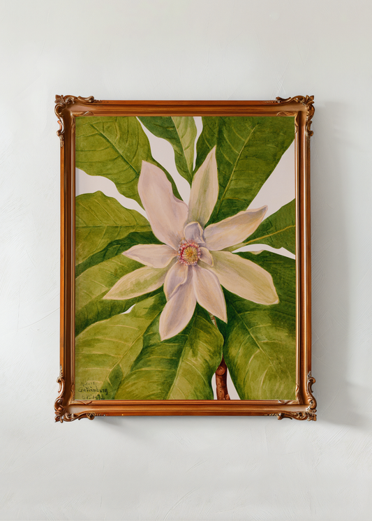 Umbrella Tree— Digital Art Print