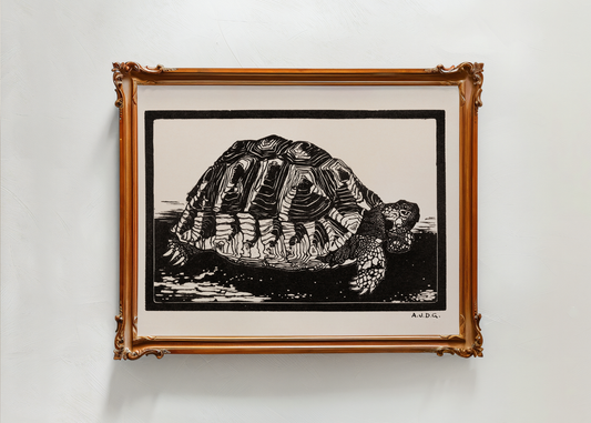 Turtle— Digital Art Print