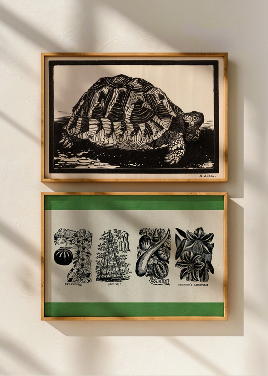 Turtle— Digital Art Print
